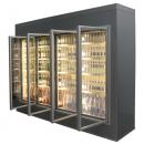 Camere frigorifice vitrate