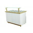 K-1 ML 8 MALAGA - Ice cream counter for 8 flavours