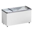 Ladă congelatoare cu capac transparent LIEBHERR | EFE 4652