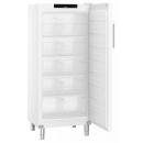 Freezer cabinet | FFFsg 5501 Performance